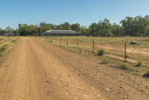 Rural Real Estate Condobolin NSW